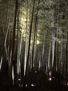 コブルCOMPANYの京都－竹林